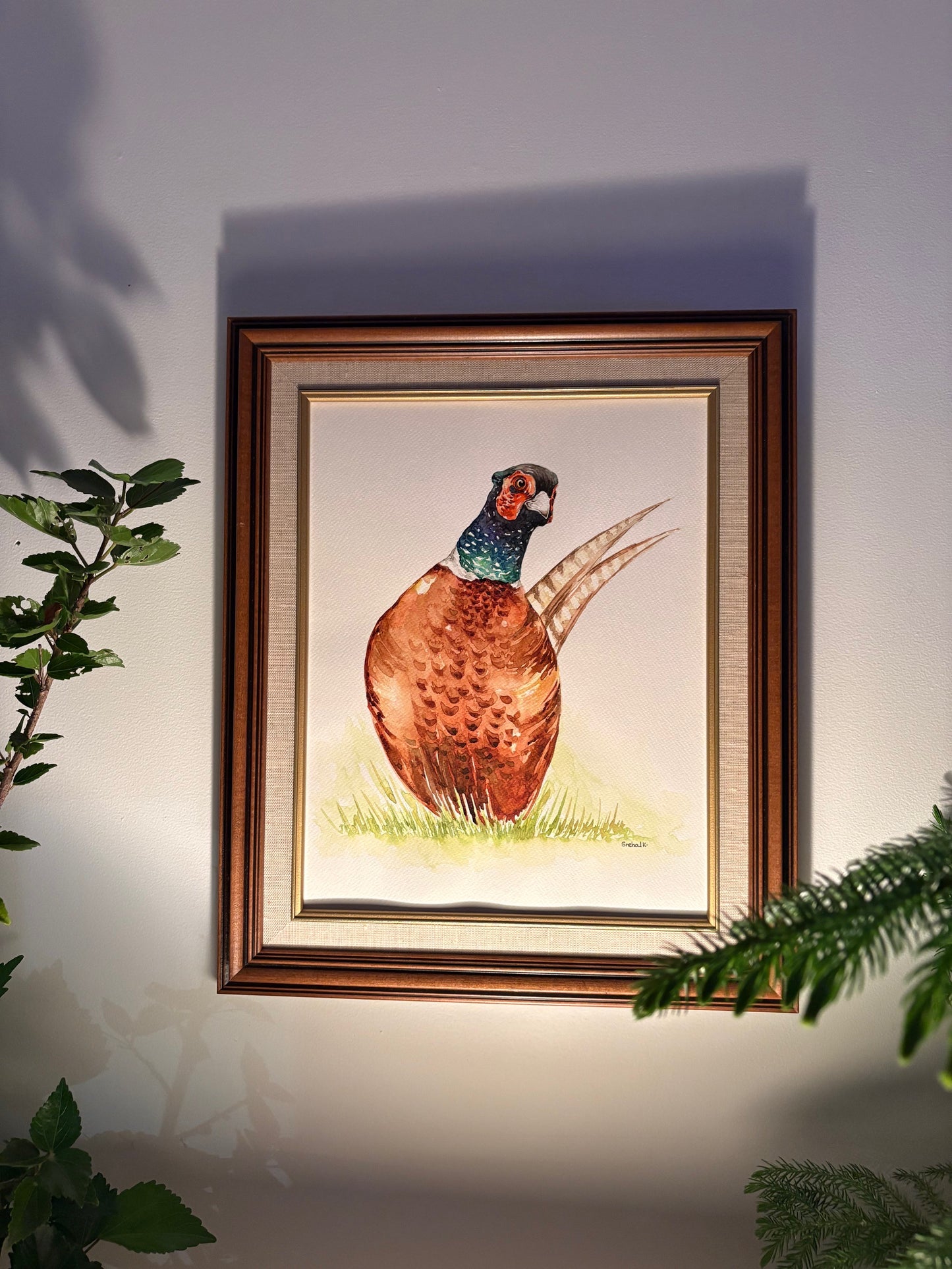 Birds of NS - Pheasant, NS Birds, Seaside Bids, Art Print 8x11, Poster print