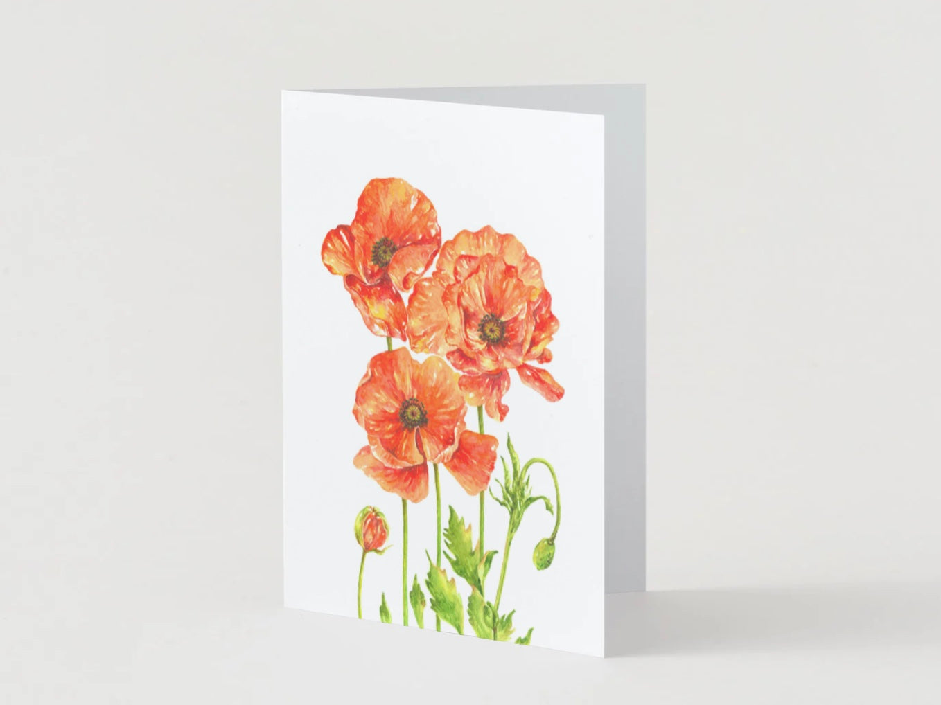Greeting Card - Poppies, Red Flowers, Cards, Poppy Flowers, Birthday Card