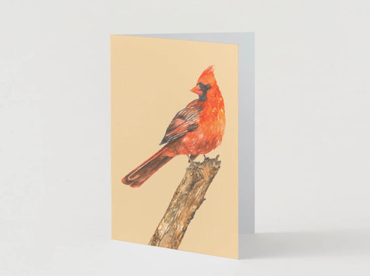 Greeting Card, Cardinal, Birds, Cardinal Card