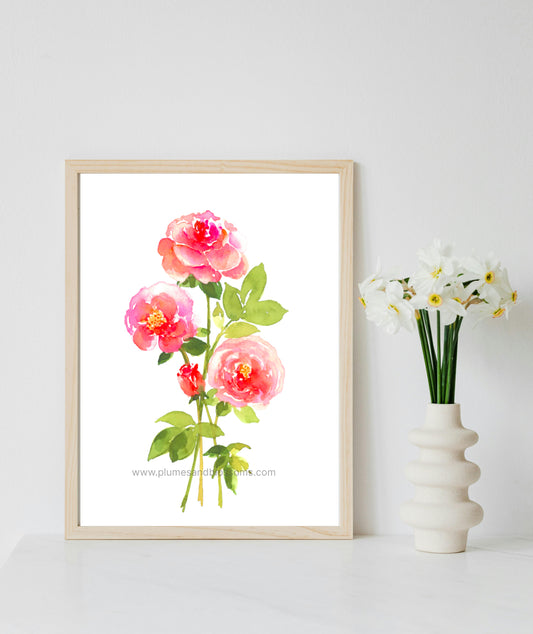 Spring Roses, Spring, Pink Roses, Colourful Flowers,  Watercolor Painting, Roses