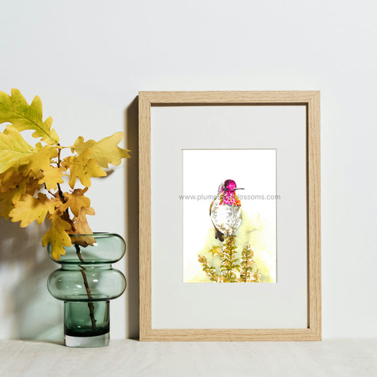 Anna’s Hummingbird, watercolor, painting, Art print 5x7