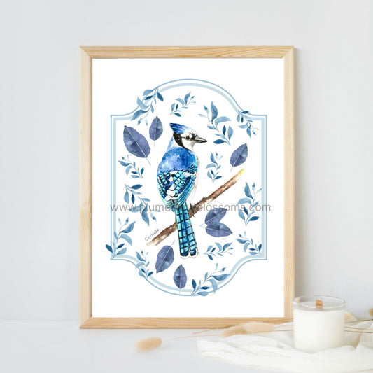 Birds of NS - Blue Jay Leaves, Bluejay, NS Birds, Seaside Bids, Art Print 8x11, Poster print
