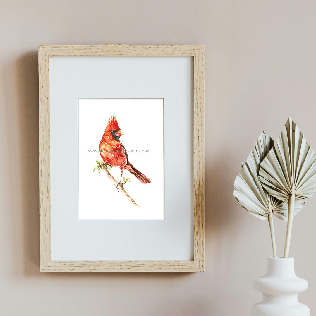 Cardinal 2 - Art Print, Cardinal Print, Cardinals Watercolor, 5x7 art print