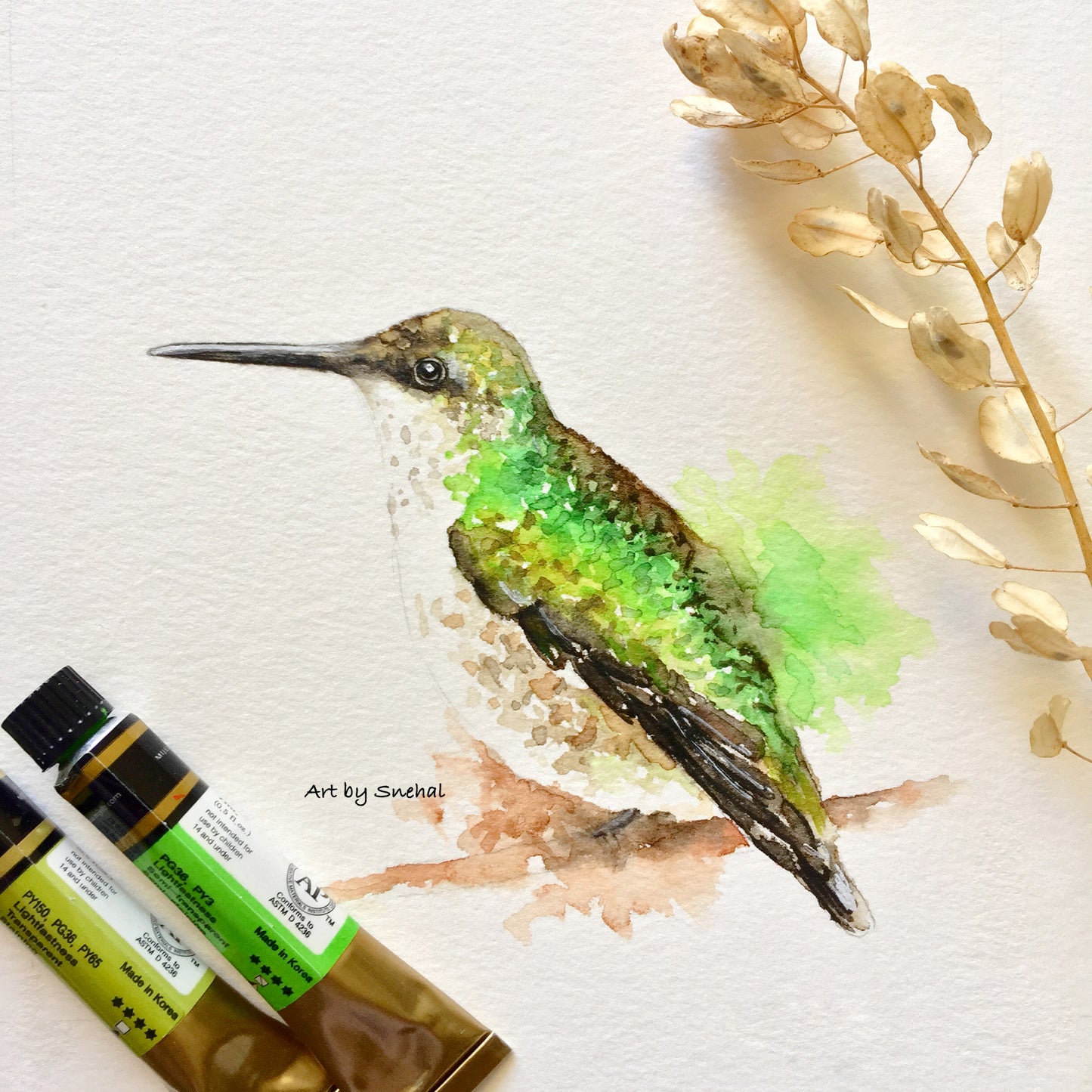 Graceful Green Hummingbird