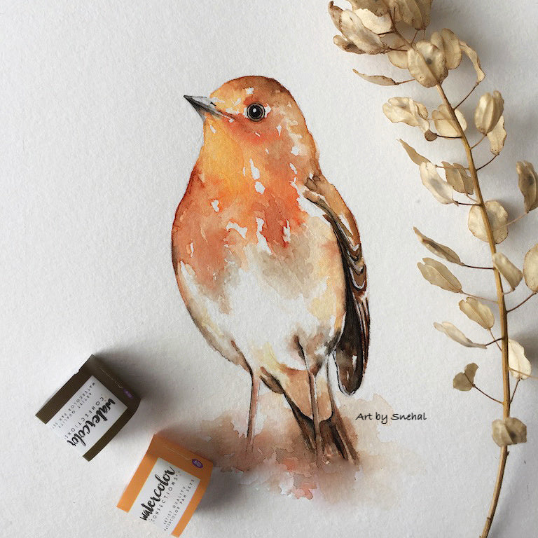 A cute little European Robin